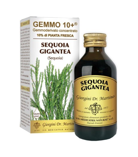 SEQUOIA 100ML ANALCO GEMMO 10+