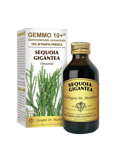 SEQUOIA 100ML ANALCO GEMMO 10+