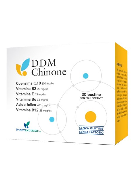 DDM CHINONE 30 BUSTINE