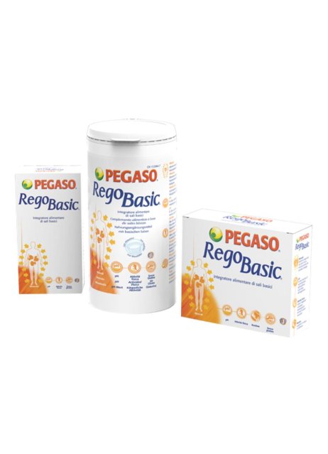 REGOBASIC 12BUST PEGASO