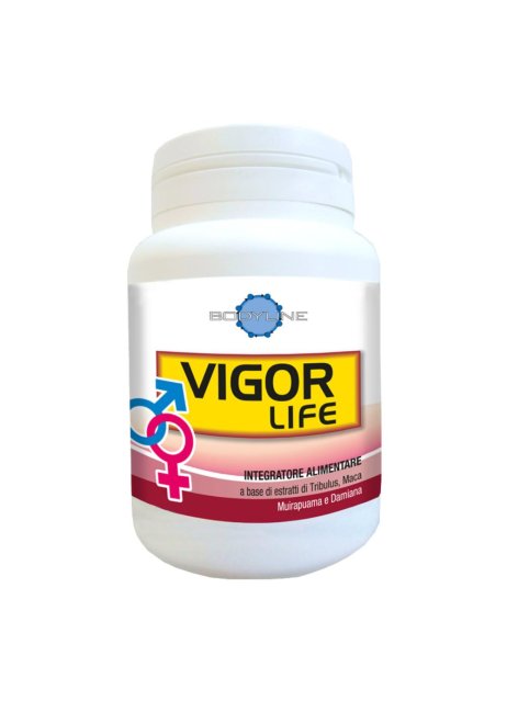 VIGOR LIFE 40CPS