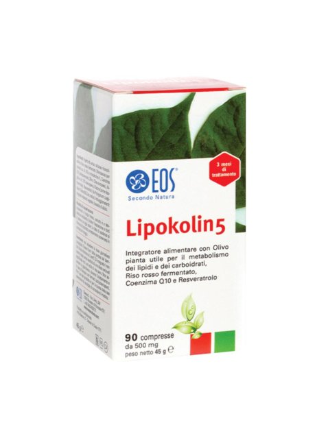 LIPOKOLIN 5 90CPR 500MG