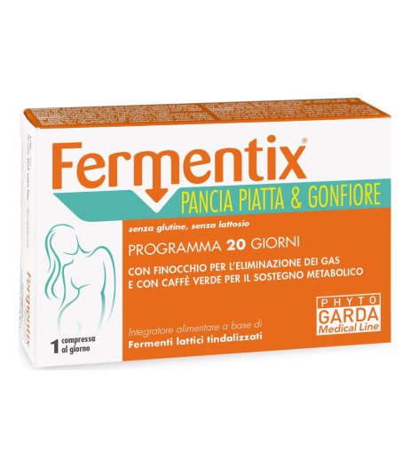 FERMENTIX PANCIA PIA/GONF20CPR