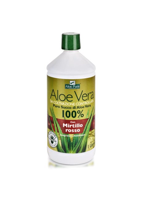 ALOE VERA SUCCO MIRTILLO 1L