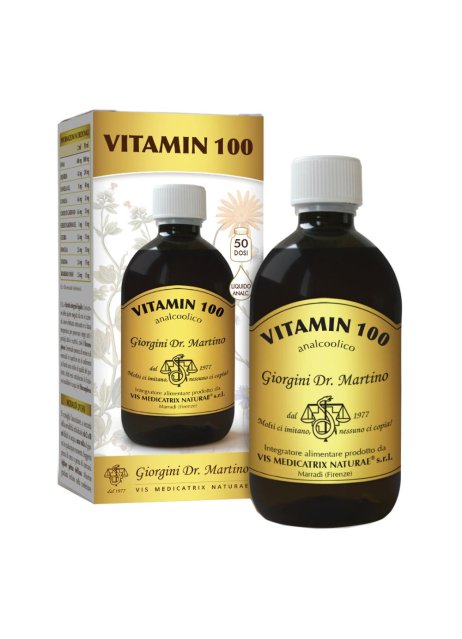 VITAMIN 100 LIQUIDO ANALC500ML