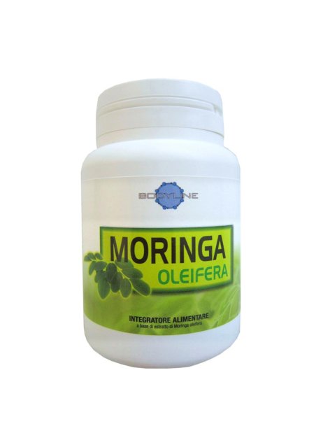 MORINGA OLEIFERA 60CPS BODYLINE