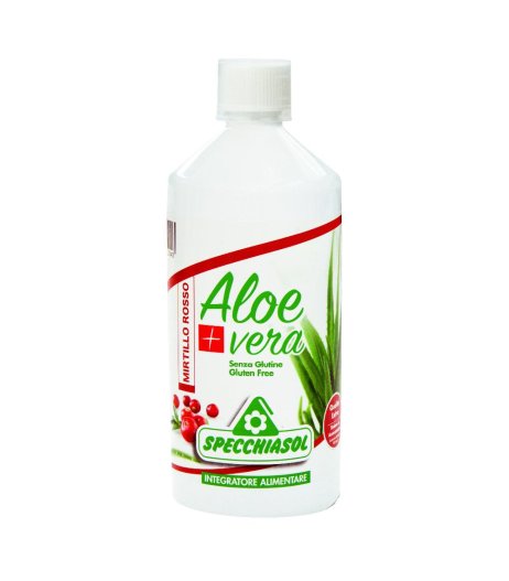 SUCCO ALOEVERA+ ALOE/MIRT R1LT