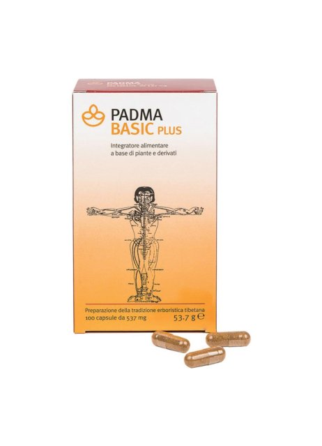 PADMA BASIC PLUS 100CPS