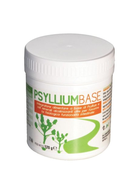 PSYLLIUM BASE POLVERE 120G