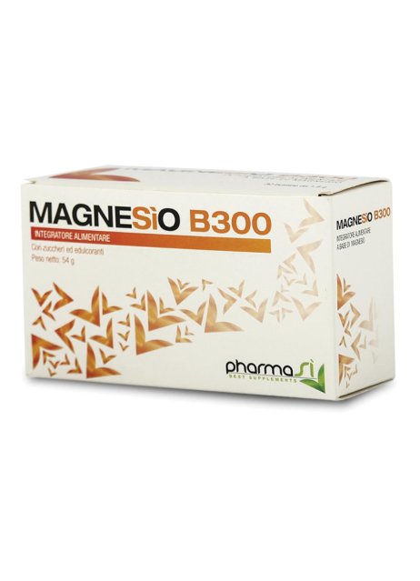 MAGNESIO B 300 30BUST