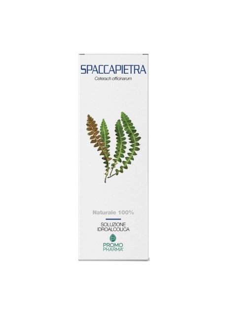 SPACCAPIETRA SOMMITA TT 100G