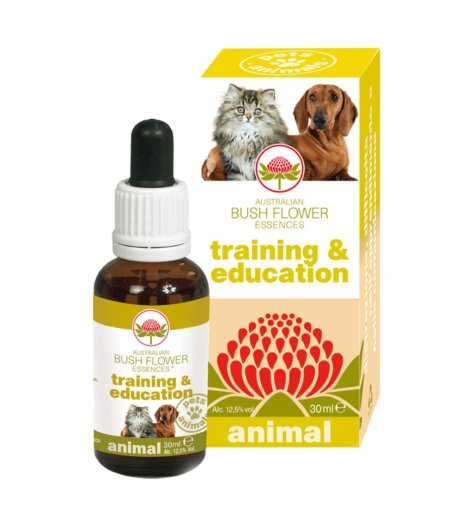 TRAINING & EDUCATION 30ML