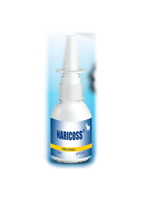 NARICOSS SPRAY NASALE 24ML