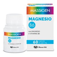 Massigen Magnesio B6 60cps