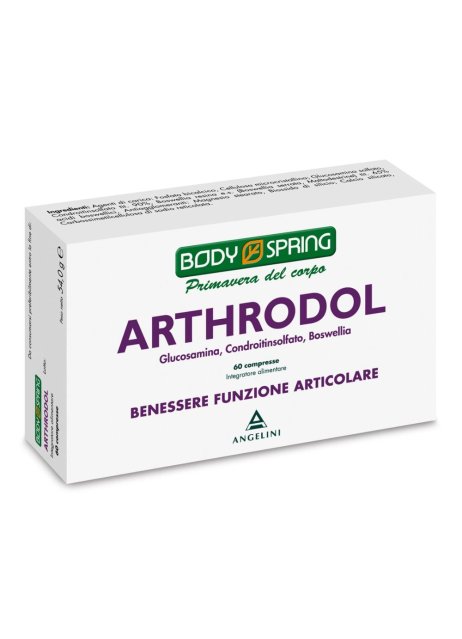 BS ARTHRODOL 60CPR BSP