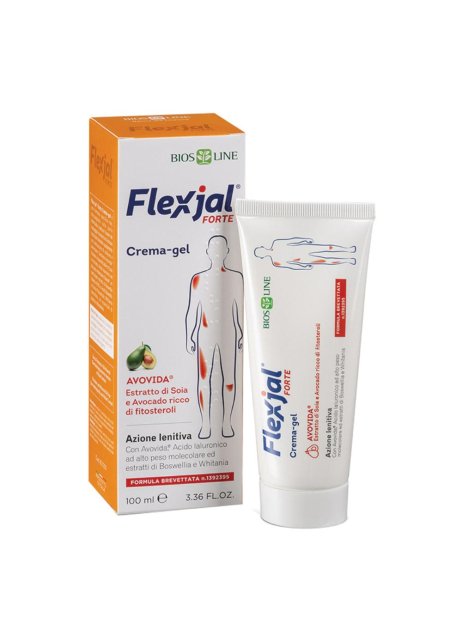 FLEX JAL Forte Crema Gel 100ml