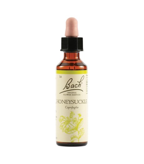 HONEYSUCKLE BACH ORIG 20ML