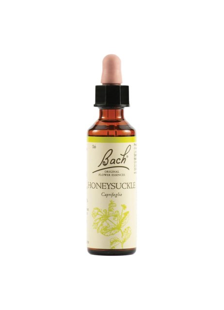 HONEYSUCKLE BACH ORIG 20ML