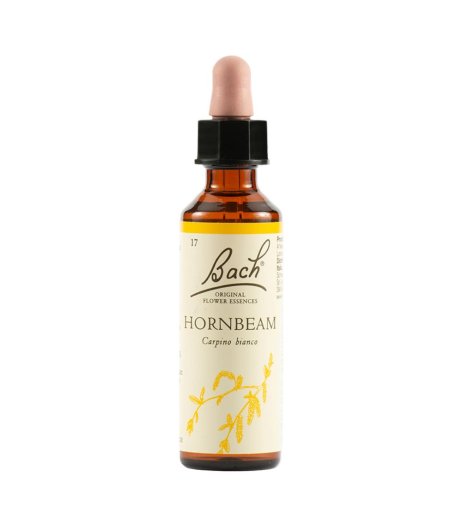 HORNBEAM BACH ORIG 20ML