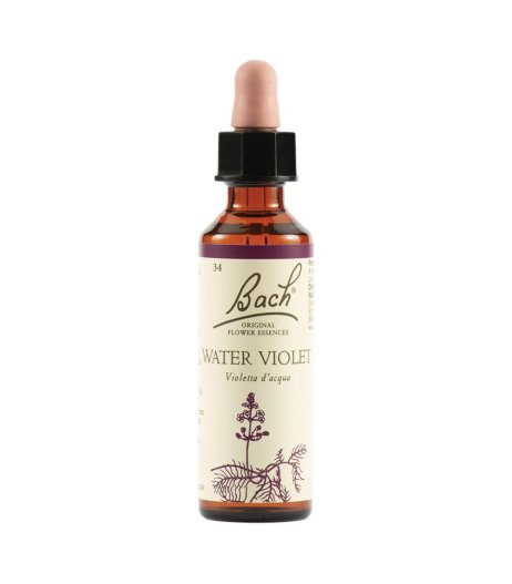 WATER VIOL BACH ORIG 20ML