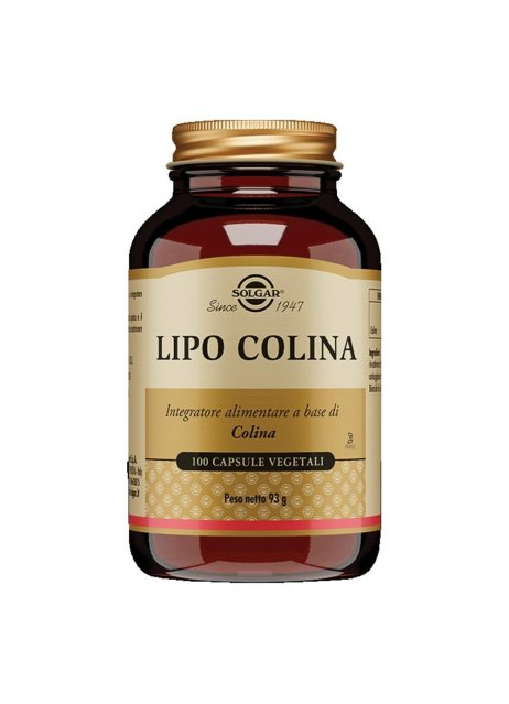 LIPO COLINA 100 Cps 100mgSOLGA