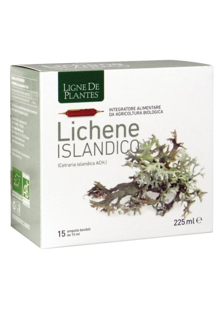 LICHENE ISLANDICO 15AMPX15ML