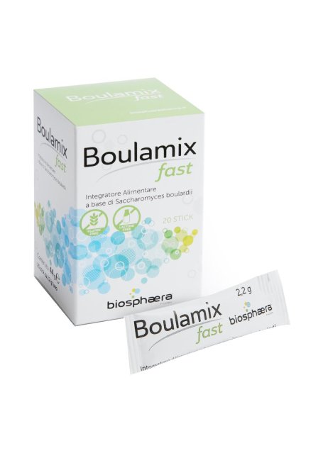 BOULAMIX FAST 20STICK