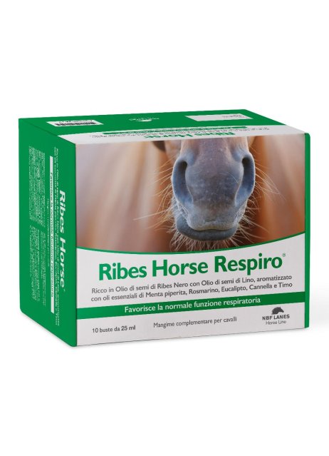 RIBES HORSE RESPIRO 10BUST