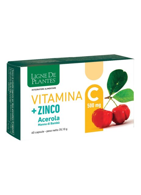 VITAMINA C 500MG+ZI/AC/BA60CPS