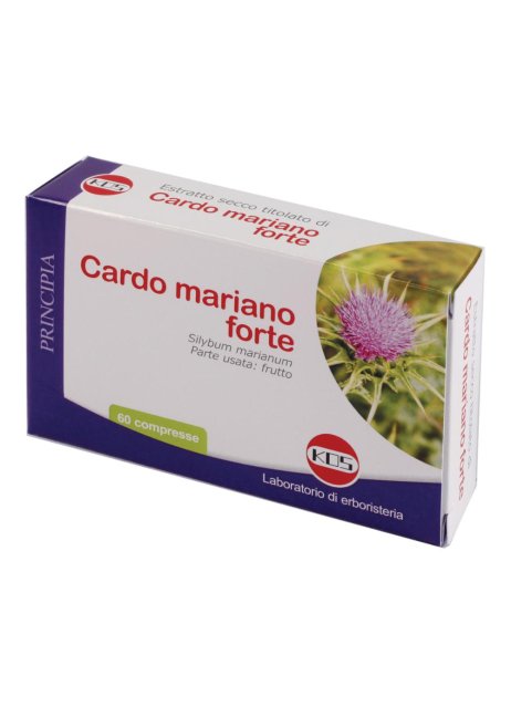 CARDO MARIANO FORTE 60CPR KOS