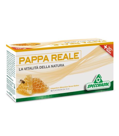 PAPPA REALE PLUS 12FLX10ML SPECC