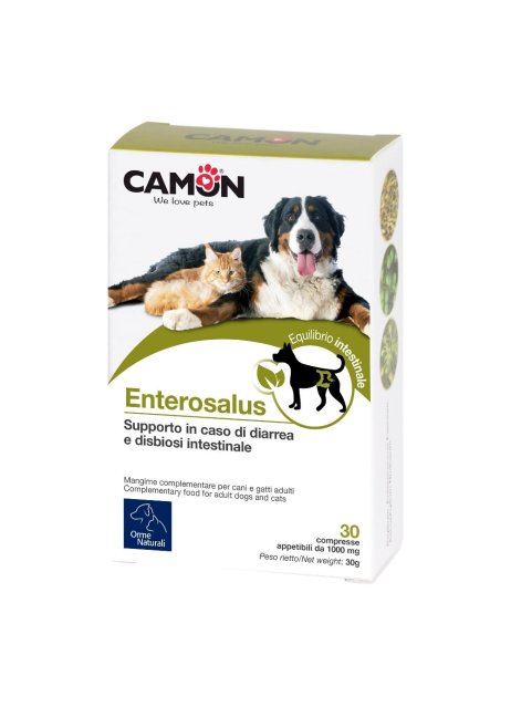 ENTEROSALUS 30CPR 1G