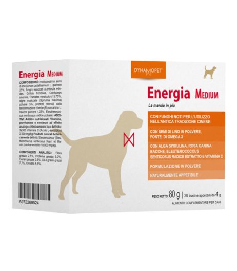 ENERGIA 20BUST 4G