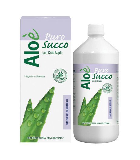 ALOE' ALOE VERA BIO+MIRTILLO1L