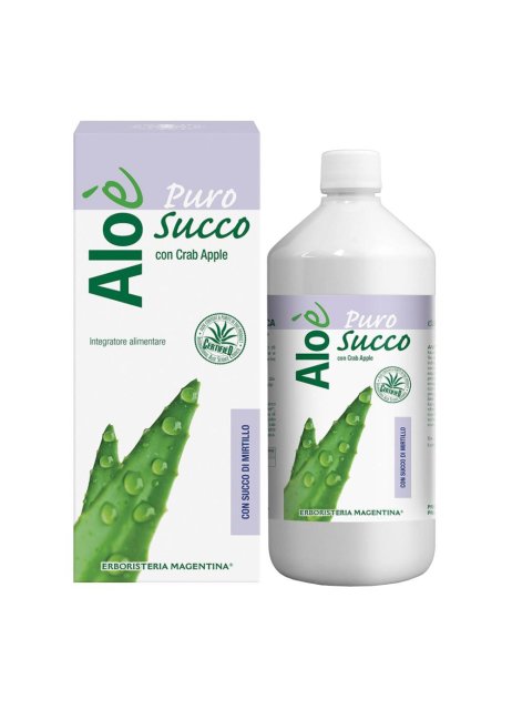 ALOE' ALOE VERA BIO+MIRTILLO1L