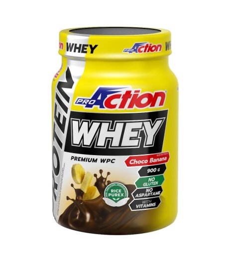 PROACTION Whey Prot.Banana900g