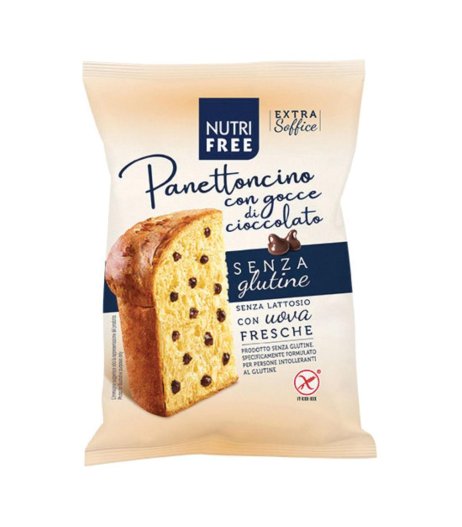 NUTRIFREE Panettonc.Ciocc.100g