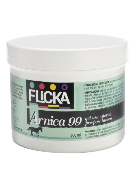 ARNICA 99 GEL 500 ML