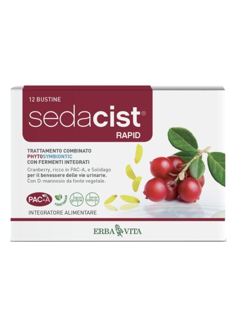 SEDACIST RAPID 6+6BUST