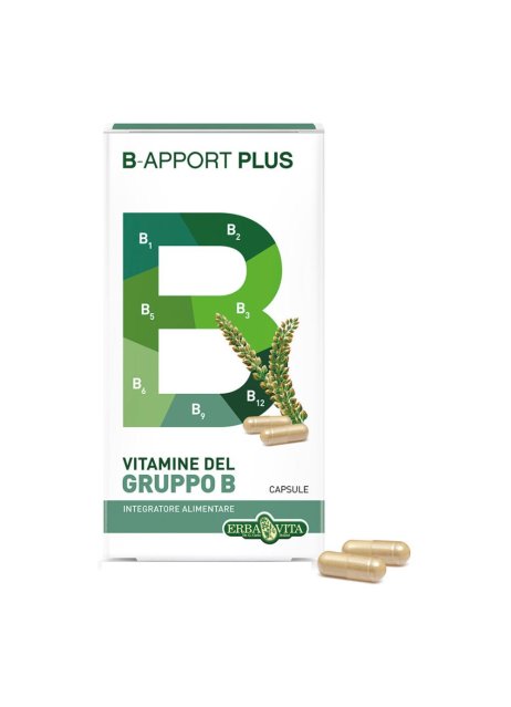 B-APPORT PLUS 45CPS