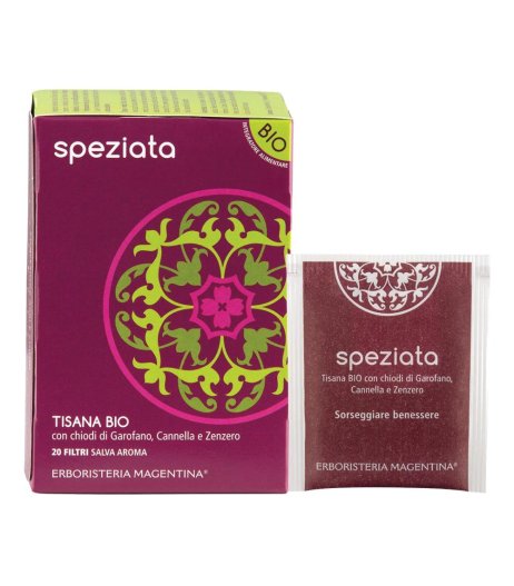 TISANA SPEZIATA BIO 20FILT