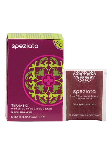 TISANA SPEZIATA BIO 20FILT