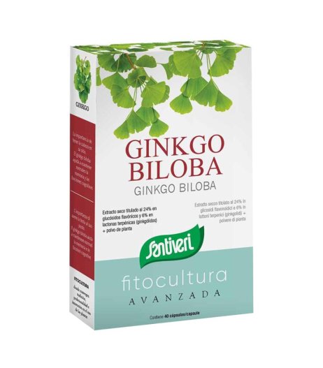 GINKGO BILOBA 40CPS