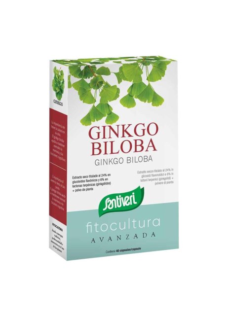 GINKGO BILOBA 40CPS