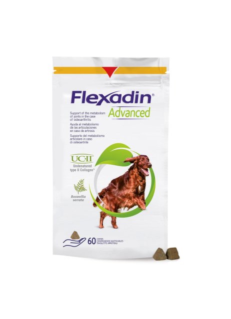 FLEXADIN ADVANCED 60TAV MASTIC