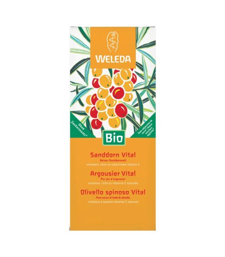 OLIVELLO SPINOSO VITAL SUCCO WE