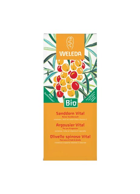 OLIVELLO SPINOSO VITAL SUCCO WE