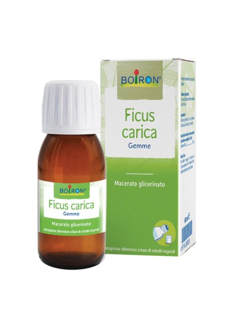 FICUS CARICA MG 60ML INT BO