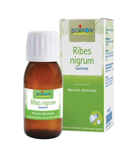 RIBES NIGRUM MG 60ML INT BO