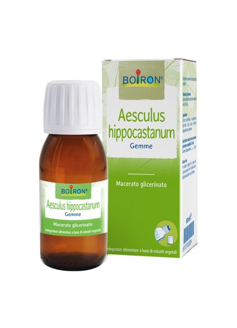 AESCULUS HIP MG 60ML INT BO